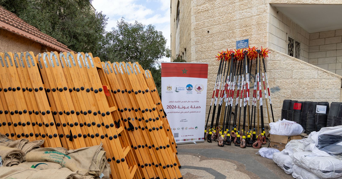 بدعم مغربي .. إطلاق حملة "عونة" لمساندة قاطفي الزيتون في القدس